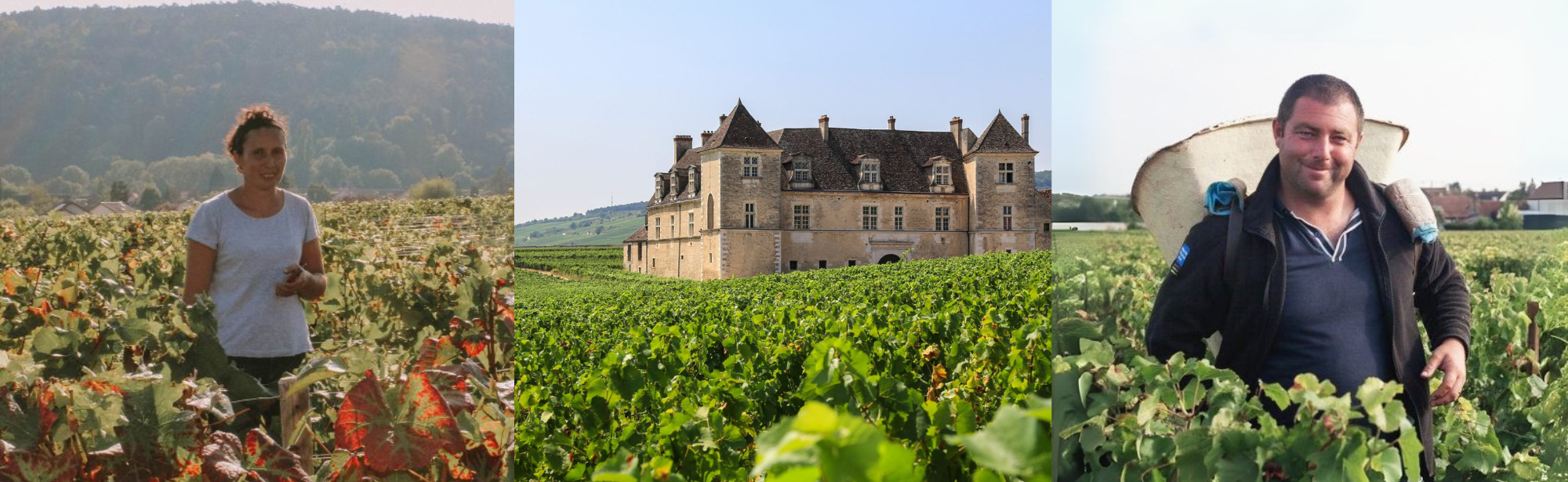 Domaine François Legros