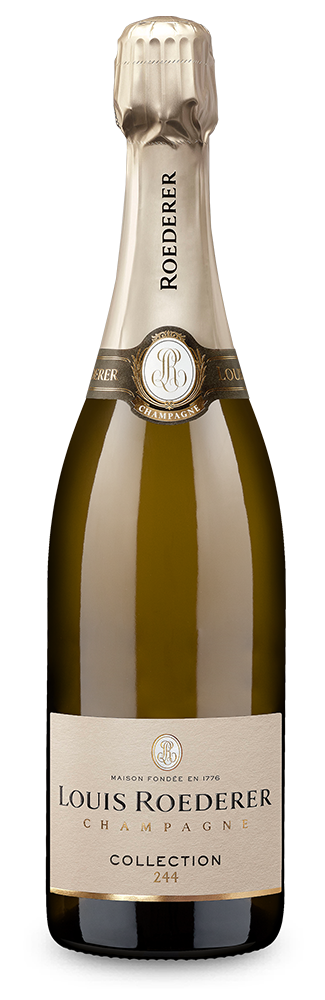 Collection 244 brut