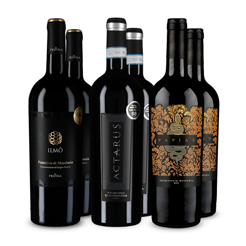 Wine in Black Premium-Primitivo-Paket