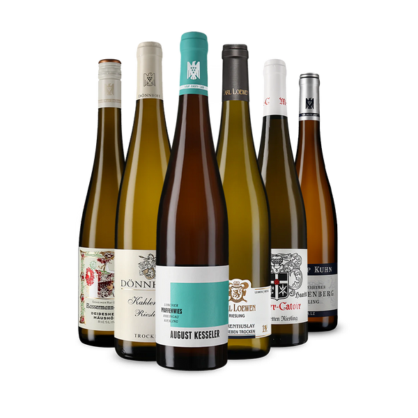 Wine in Black Riesling aus Ersten Lagen-Paket