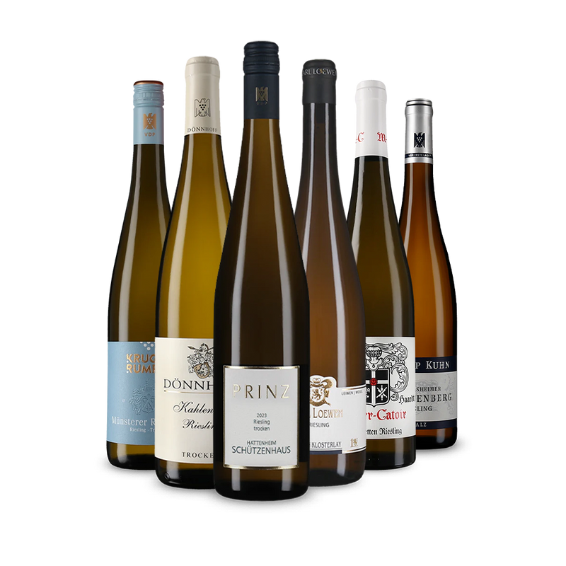 Wine in Black Riesling aus Ersten Lagen-Paket