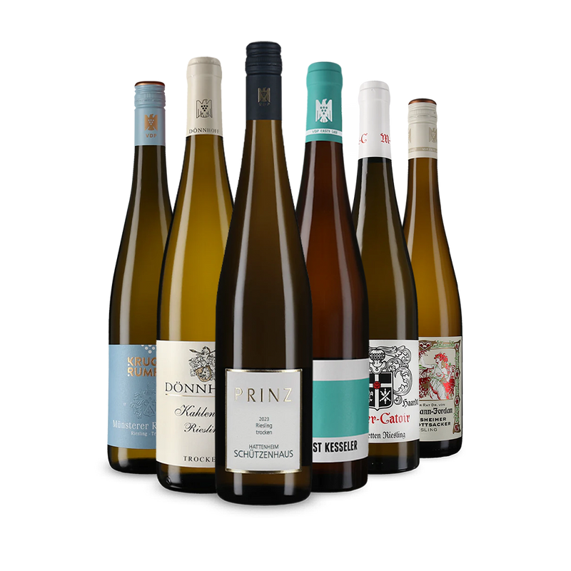 Wine in Black Riesling aus Ersten Lagen-Paket