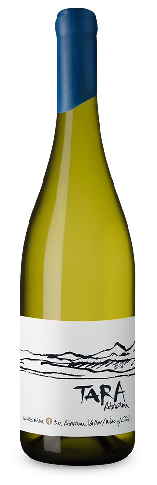 Tara Sauvignon Blanc 2021