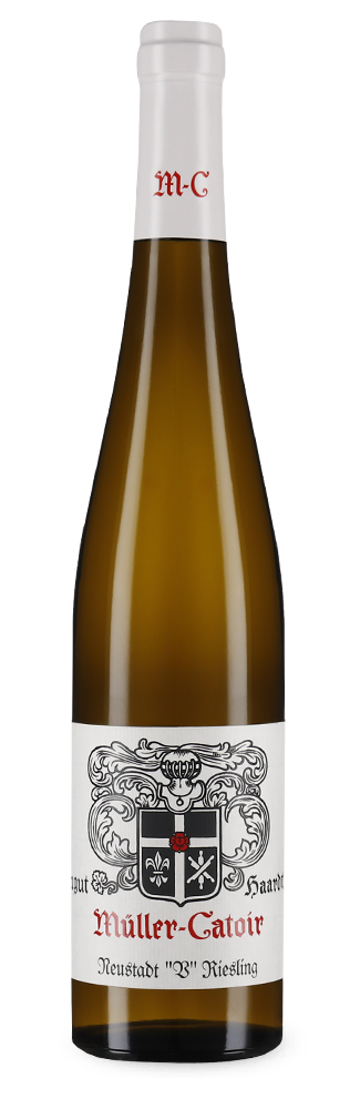 Neustadt V Riesling trocken 2022