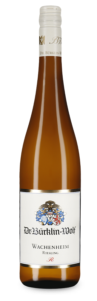 Wachenheimer R Village Riesling trocken 2019