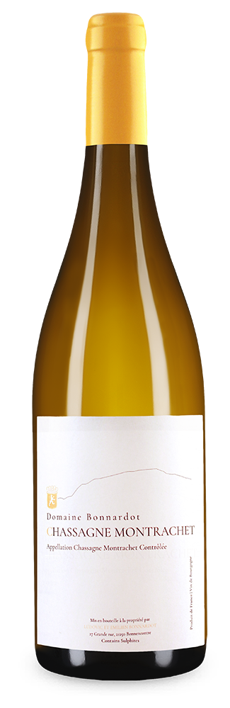 Chassagne Montrachet Blanc 2022