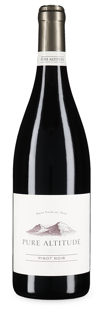 Pinot Noir Haute Vallée de l'Aude 2023