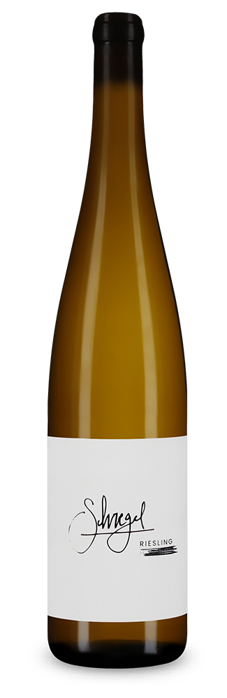 Riesling H. trocken 2023